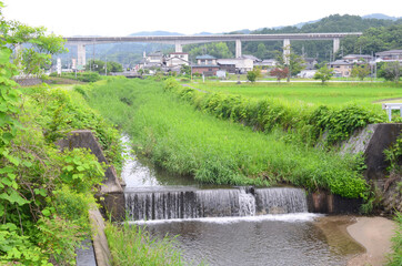 Fototapeta na wymiar 日本の田舎の風景。田や川があります。