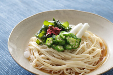 夏の冷やしぶっかけうどん