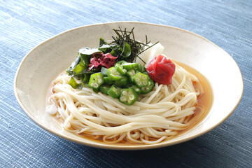 夏の冷やしぶっかけうどん
