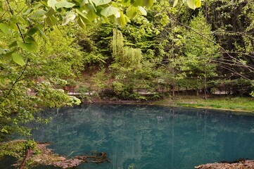 a reflection in a clear river