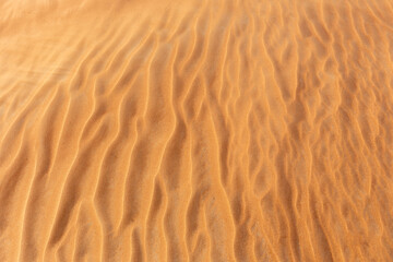 Sand dune close-up texture with ripples and wrinkles, United Arab Emirates.