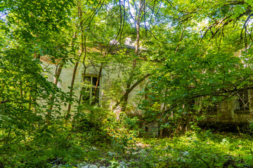 Obraz premium An abandoned house reclaimed by nature inside the Chernobyl Exclusion Zone near Chernobyl, Ukraine