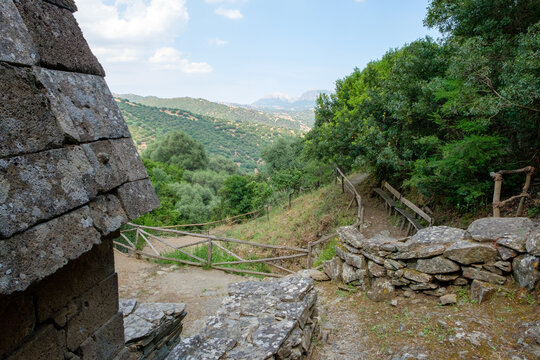 OruneBilder StockFotos & Videos. Adobe Stock