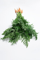 Studio photo of a small carrots bouquet, with green tops on white.