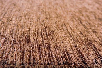 A close-up of brown plush surface