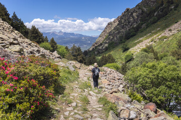 Fototapeta na wymiar Woman trekking in Eyne Valley with Carlit Peak on the Background, French Pyrenees