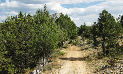 Campos de cultivo y montaña de España.