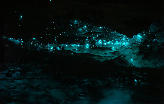 Under a glow worm sky - couple shining a light into Waipu cave