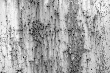 Nature of stone wall in mountain, construction texture detail. Wall texture design.
