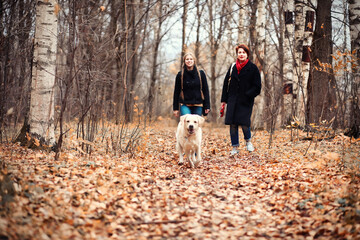 Fototapeta premium Young girl on a walk in the autumn
