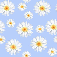Daisy floral seamless pattern. Handpainted watercolor illustration for fabric, packaging, wallpaper design. Cute summer camomile graphic. Repeat ornament. White flowers on blue background
