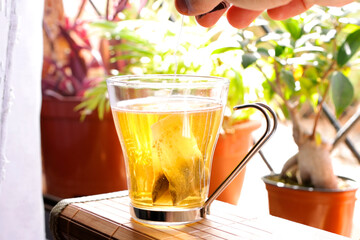 Putting red tea bag into mug with hot water on window with plants