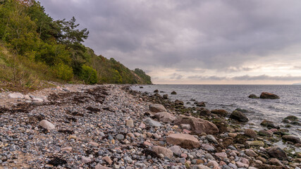 Fototapeta na wymiar The Baltic Sea coast and the pebble beach in Goor, Mecklenburg-Western Pomerania, Germany