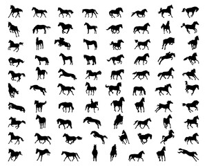 SVG Big set of horses silhouettes on the white background