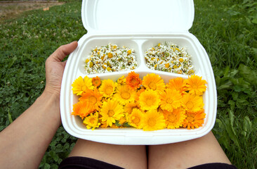 Environmental problems. The concept of using plastic containers. Image with a plastic container filled with flowers in the hands of a girl