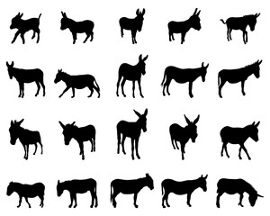 SVG Black silhouettes of donkeys on white background