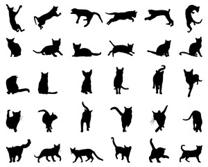 SVG Black silhouettes of cats on a white background