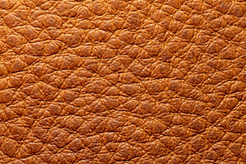 A close-up shot of the surface of leather used for handmade
