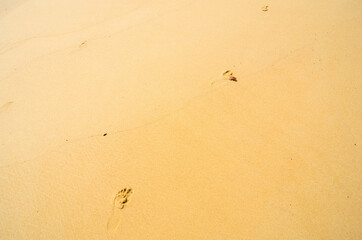 Footsteps in the sand