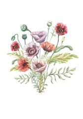 Obraz premium Poppies flowers red purple wildflowers hand drawn watercolor illustration. Sketch print textile background set frame border. Nature plants leaves decoration