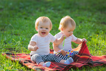 Happy twins on a blanket play with bright toys in the park on a sunny summer day.