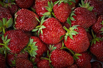 Red ripe strawberries background. Close up, top view.