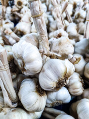 Organic and fresh garlic on the market