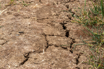  Natural background of ground. Topic: drought as problem in agriculture, cracked dry soil.