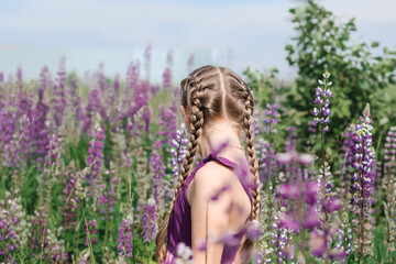 Beautiful little cute girl walking in the field among blooming purple, pink and blue lupin, lupine, lupinus flowers in sunlight. Floral, spring, summer, vacation concept.