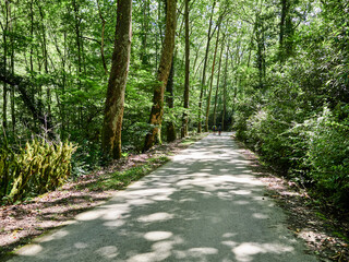 Parque natural de Vértiz-Bertiz en el corazón de Navarra