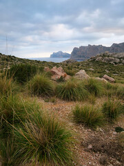 Mountain landscape with high grass on a cloudy day and sea in the background