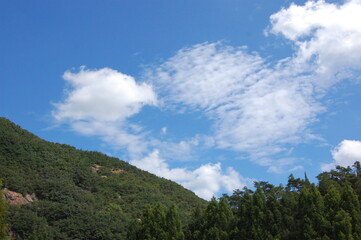 Fototapeta na wymiar clouds over forest