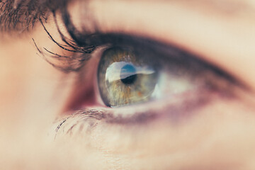 Female eye closeup