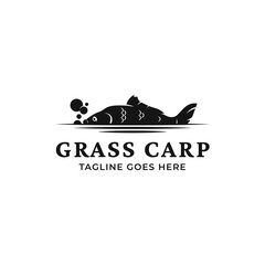 Fototapeta premium Vector grass carp logo template isolated on a white background