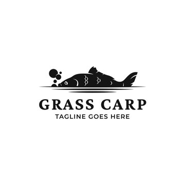 Vector grass carp logo template isolated on a white background