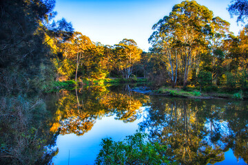 Lane Cove Lush turn reflect