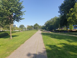 Rotterdam Sint Jacobs Park Path