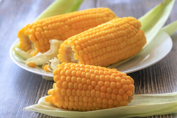 Boiled corn on a white plate