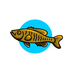 Simple Animal logo Design vector Guadalupe bass fish