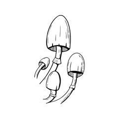 Toxic mushroom doodles on a white. Halloween design elements.