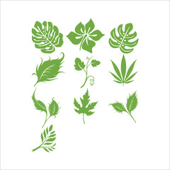 Leaves collection green vector design illustration template.