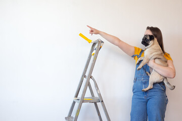 Independent single woman makes repairs in her apartment with her pet . Funny pet dog on hand. Female showing on copy space.