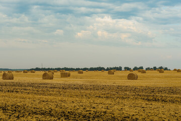 mid summer, field after wheat harvest