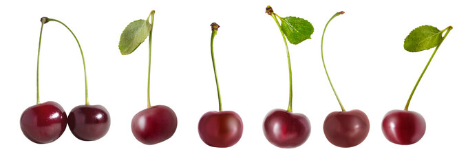 cherry collection isolated on white background