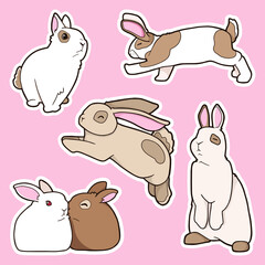 A set of stickers. Cute rabbits. White, brown and spotted rabbits. 
