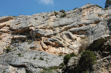 climbers
