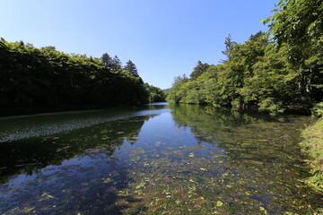 lake kumoba in karuizawa