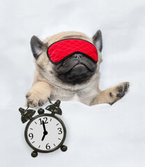 Funny Pug puppy sleeps with alarm clock under white blanket at home. Top down view. Empty space for text