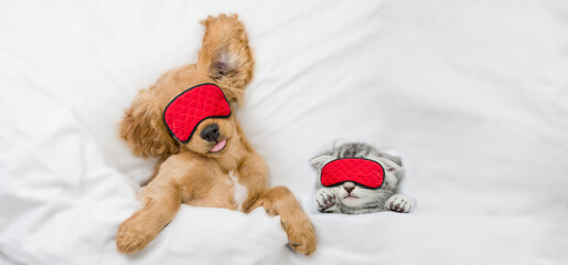 Funny English Cocker Spaniel puppy and tiny kitten wearing sleeping masks sleep together on a bed...