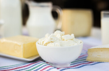 milk, cottage cheese, cream, cheese on table against background of cows